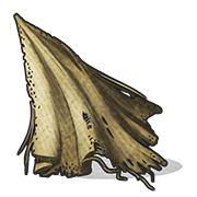 Cloth contents